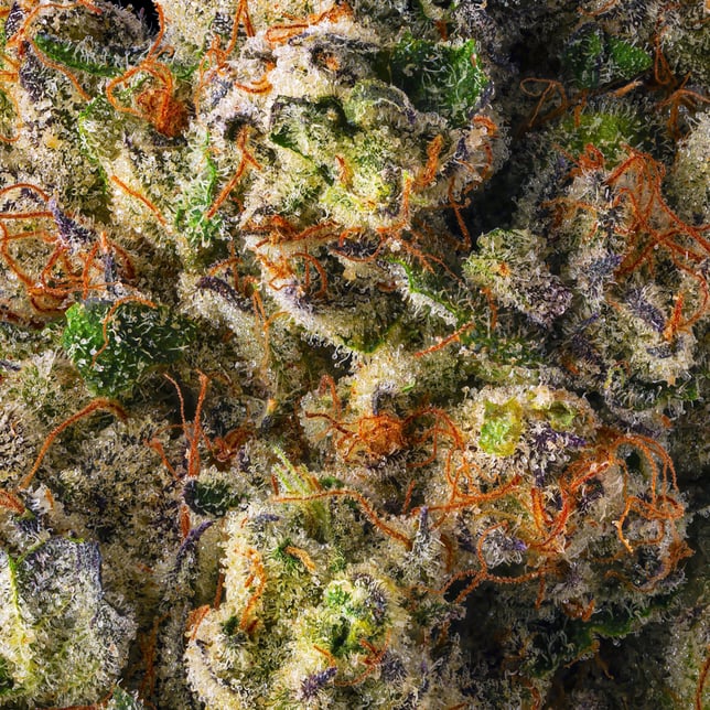 French Butter Pre-Roll 5-Pack [2.5g] - Image 7