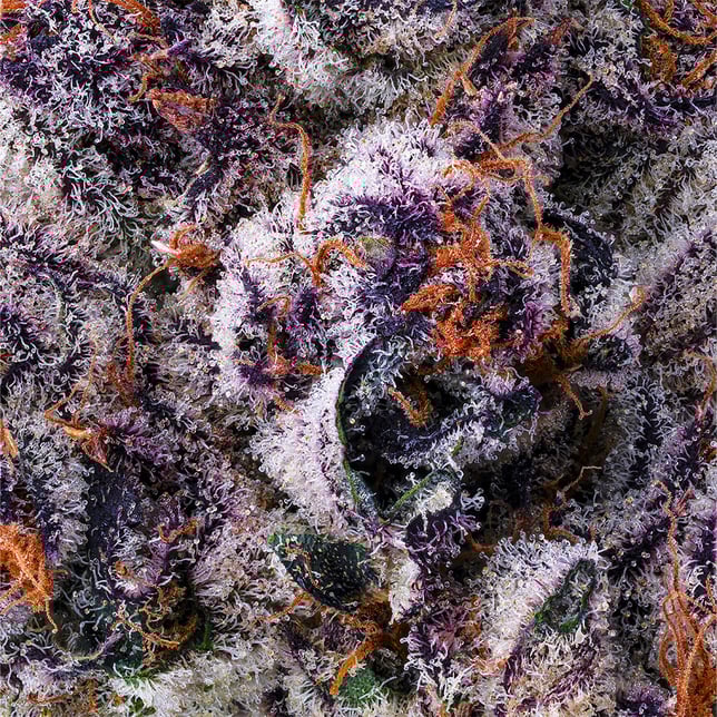 Chrome Dome [3.5g] - Image 5