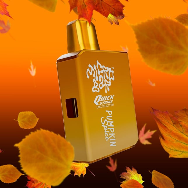 Pumpkin Spice - 1G - AIO [1000mg] - Image 2