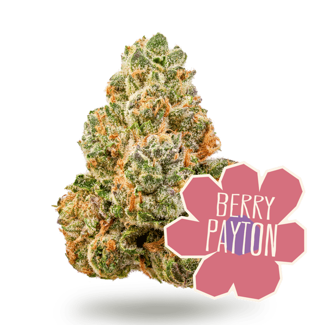 Berry Payton - Image 2 Berry Payton - Image 2