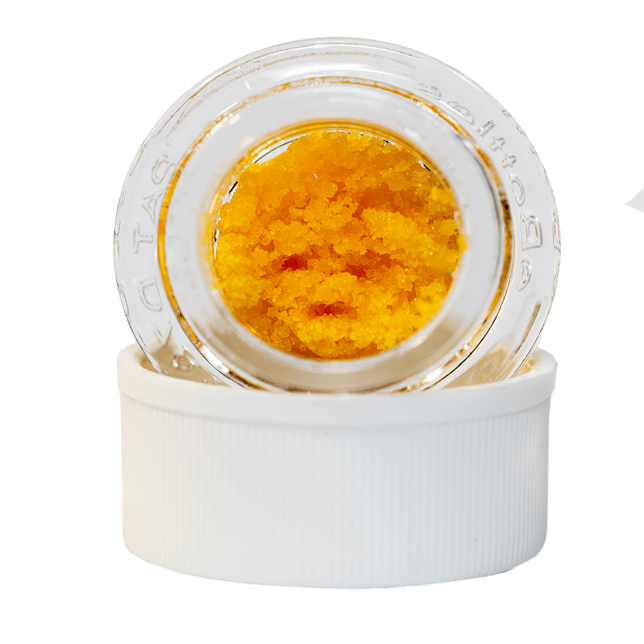 Papaya Tang - Image 3