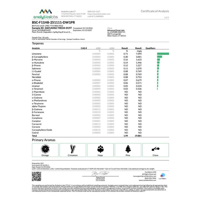 Dogwalkers - B Scout (I) 1g Pre-Roll 1pk (1g) C0010001229 - Image 5