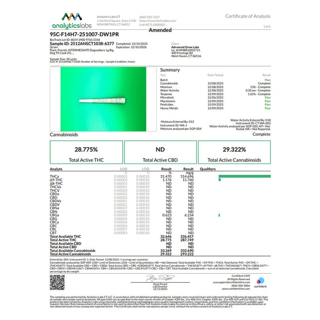 Dogwalkers - 95 Cook (H) 1g Pre-Roll 1pk (1g) C0010001153 - Image 4
