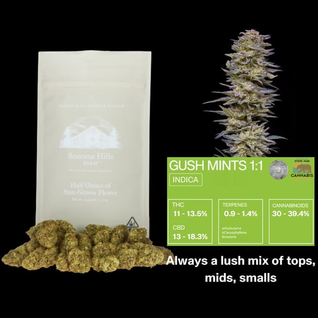 1:1 Gush Mints - Image 2