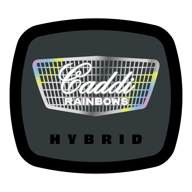 Caddi Rainbows [1.5g] - Image 2