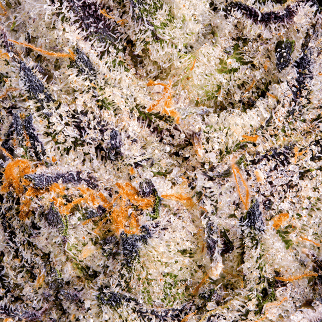 Chroma [14g] - Image 5