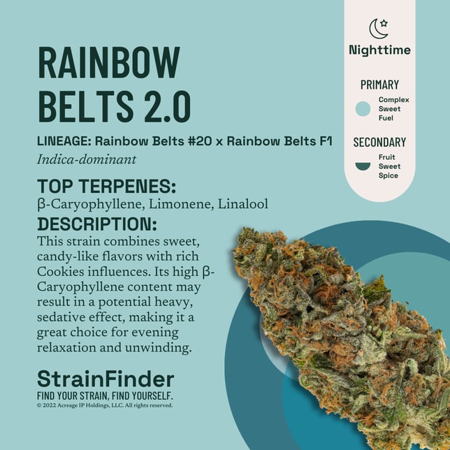 Rainbow Belts 2.0 - Image 3 Rainbow Belts 2.0 - Image 3