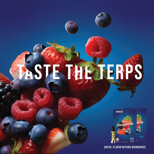 Batch | Cartridges | Flavors Shwazzberry | 1 g - Image 2