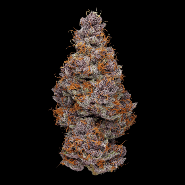 Blueberry Cherry - Image 3