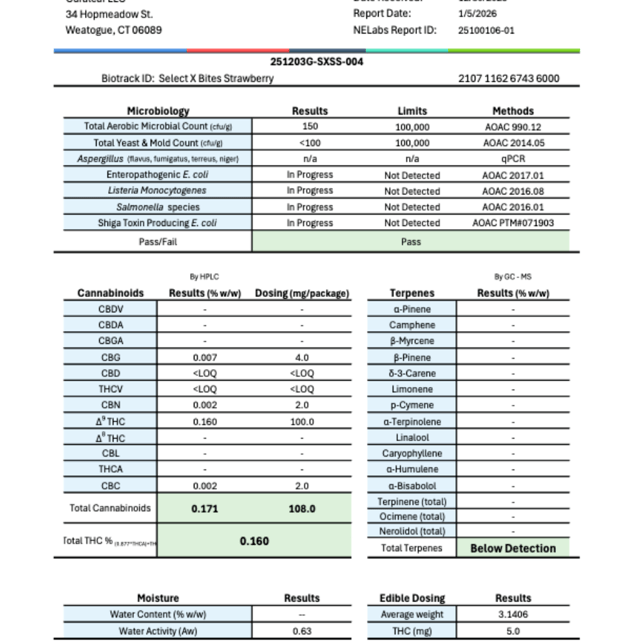 Select - Strawberry (H) X Bites (5mg 20pk) C0030001370 - Image 3