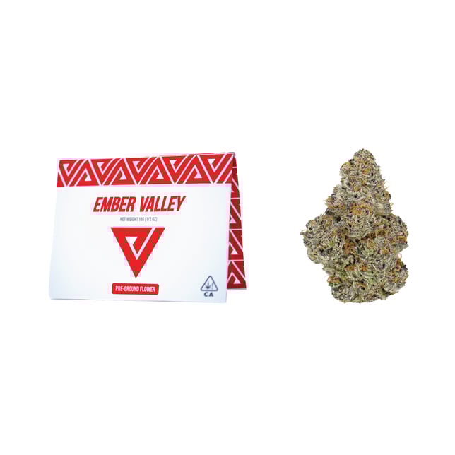 Wingsuit - Image 5 Wingsuit - Image 5