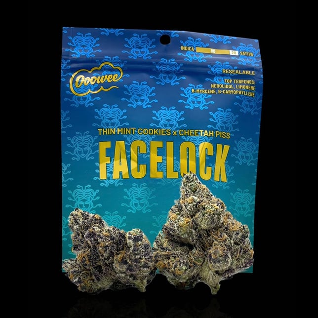 Face Lock - Image 1 Face Lock - Image 1
