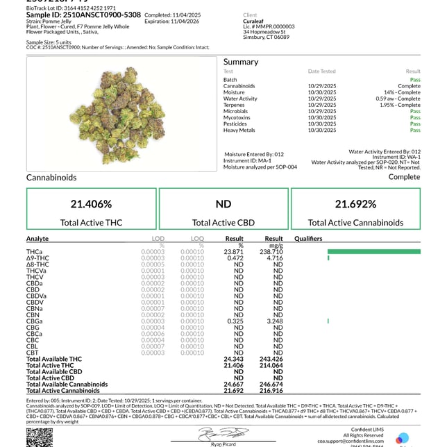 Curaleaf - Pomme Jelly (S) Flower  C0030001173 - Image 5
