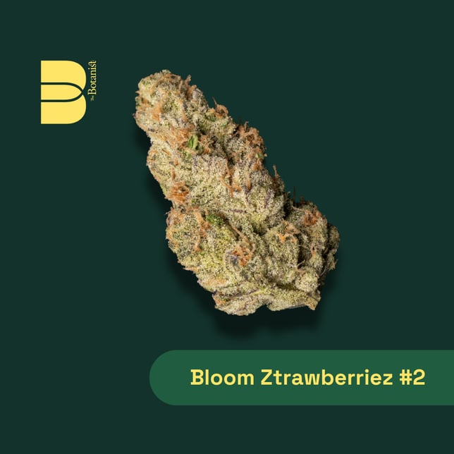 Bloom Ztrawberriez #2 - Image 1 Bloom Ztrawberriez #2 - Image 1
