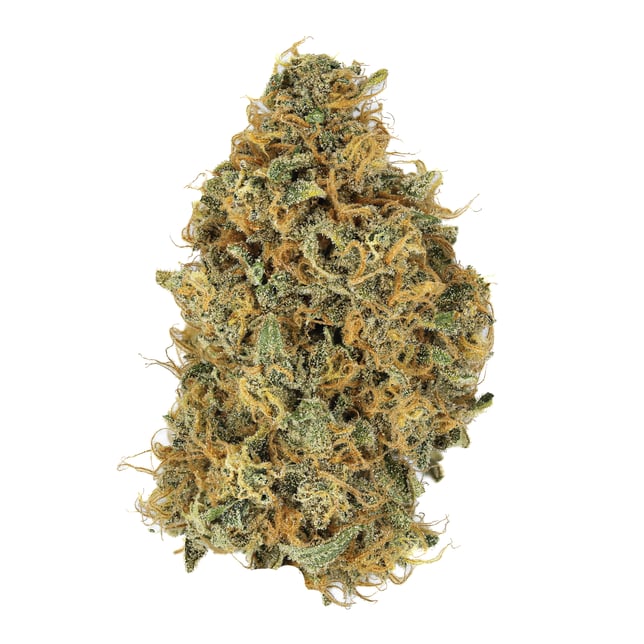 Melon Fizz - Image 6