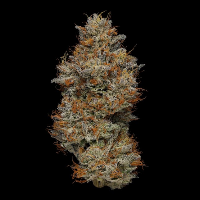 Emergency #9 [1000mg] - Image 3