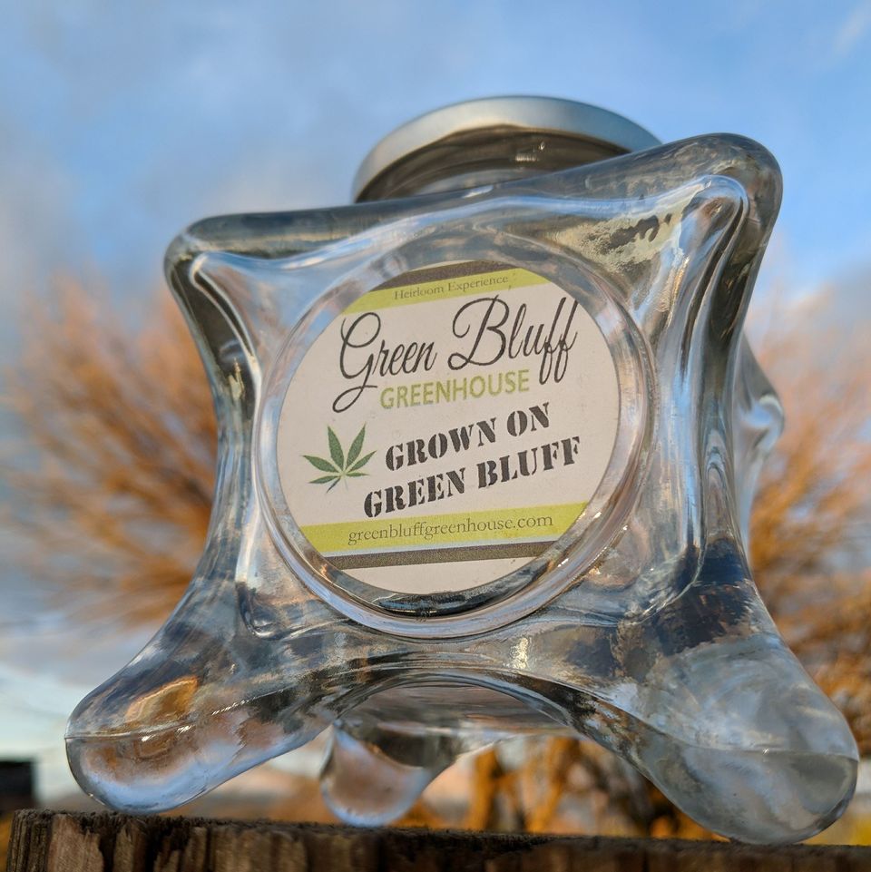 Lemon Pledge Green Bluff Greenhouse Jane