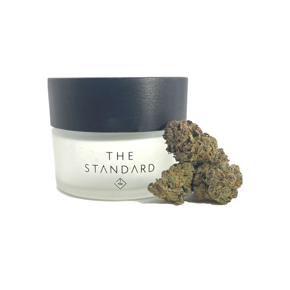 Mint Gelato [5.66g] The Standard Jane