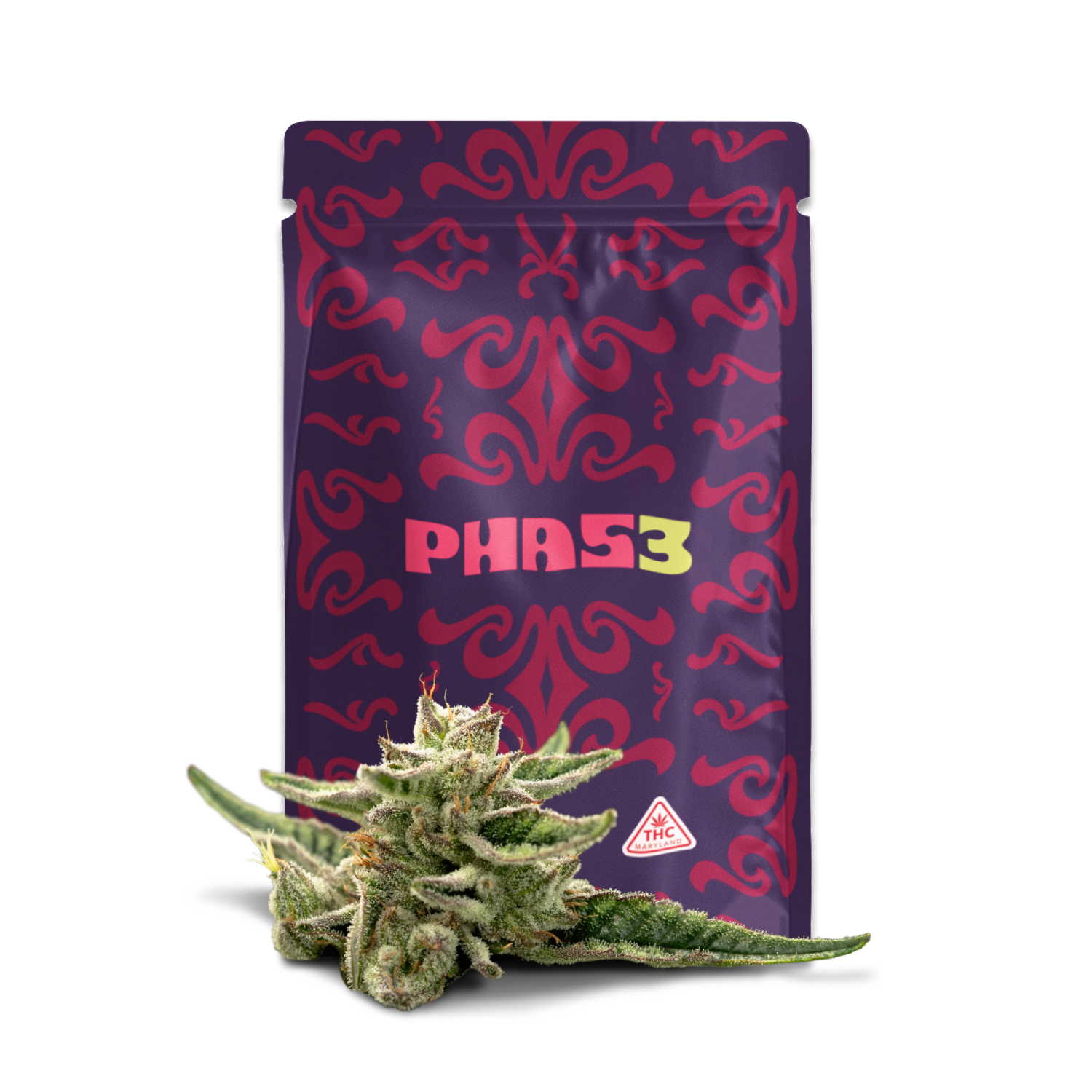 【ダブ名盤】Audio Active／FREE THE MARIJUANA ダブ名盤】Audio Active／FREE THE MARIJUANA Audio Active – Free The