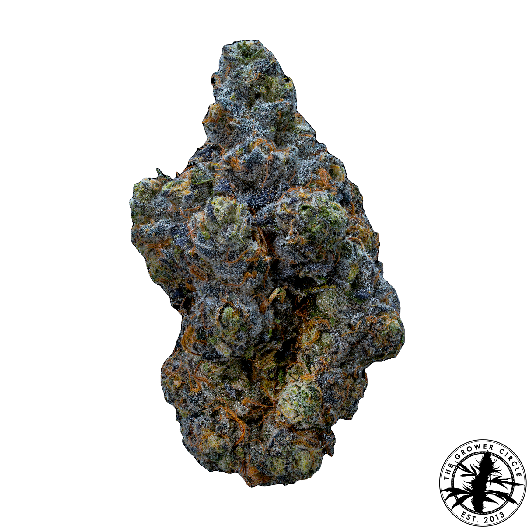 Jet Fuel Gelato Jet Fuel Gelato