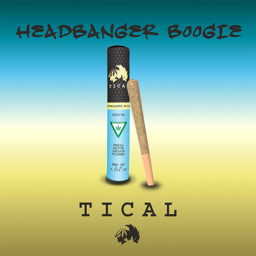 Headbanger Boogie [1g]