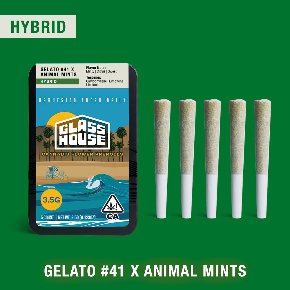 Gelato #41 x Animal Mints [.7g 5pk]