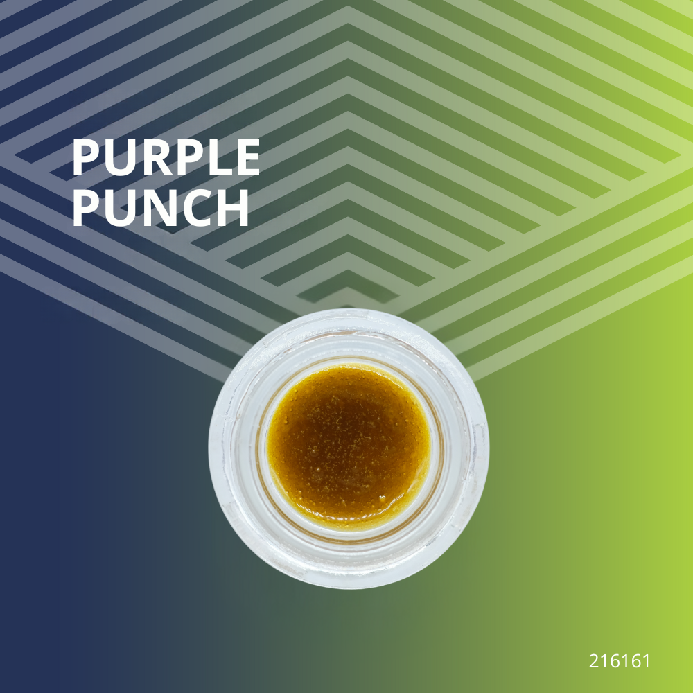 Purple Punch Budder