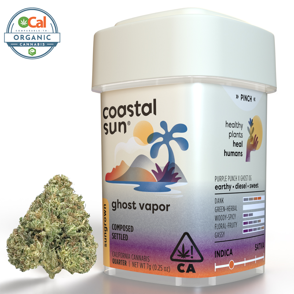 Ghost Vapor Ghost Vapor