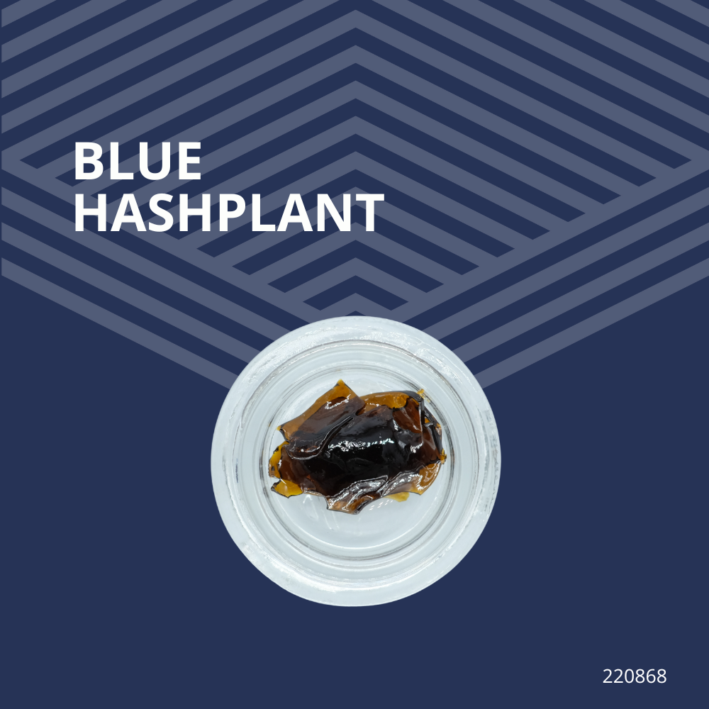 Blue Hashplant Shatter