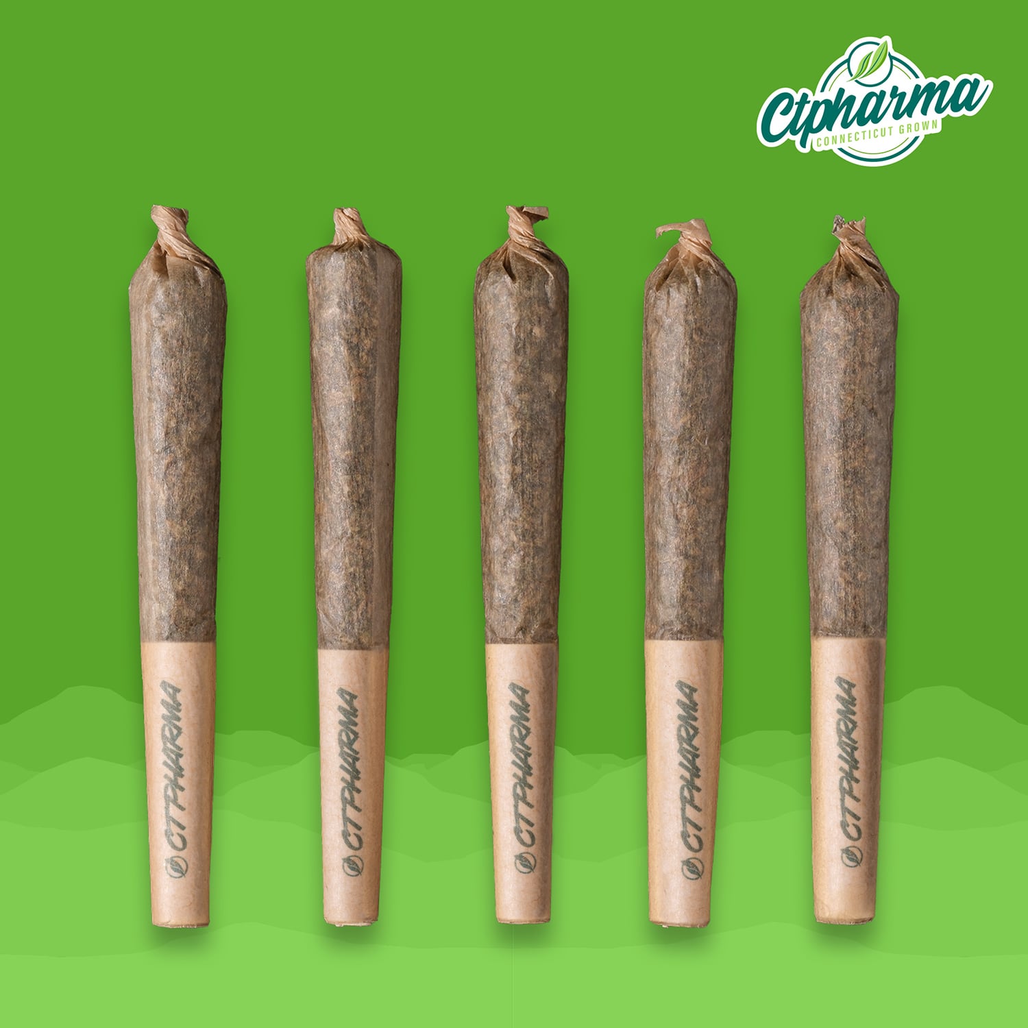 Durban Stardawg Shorties H 26438 (CTPharma)