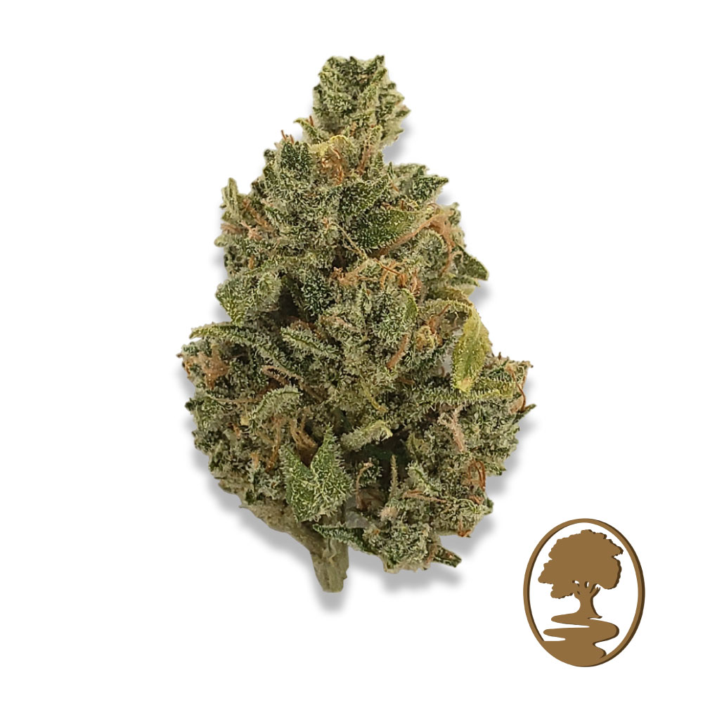 Kushberry