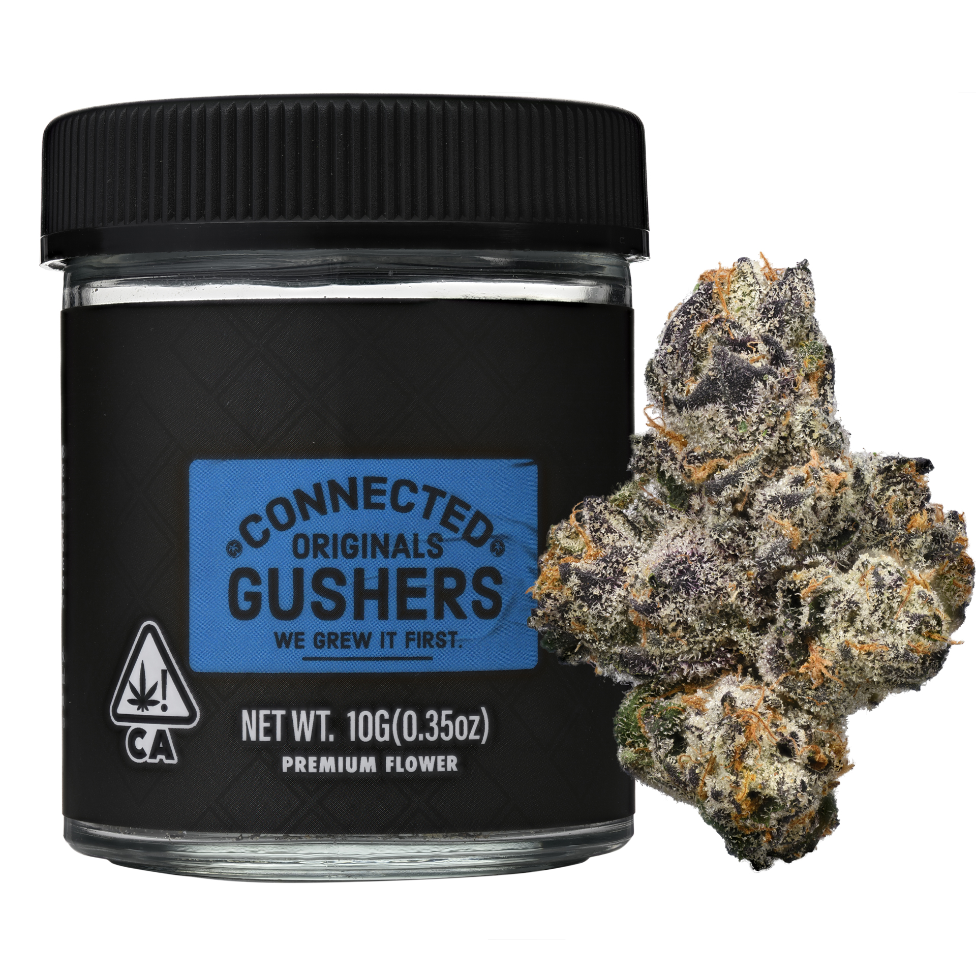 Shop Gushers [10g] | San Diego