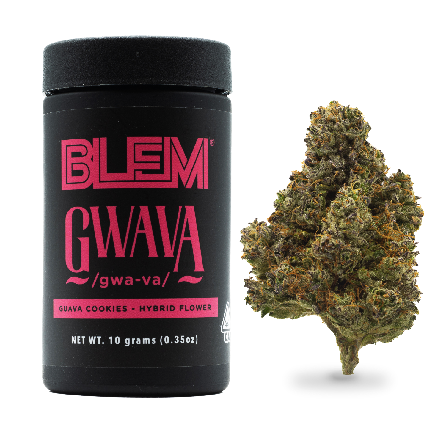 Gwava [10g]