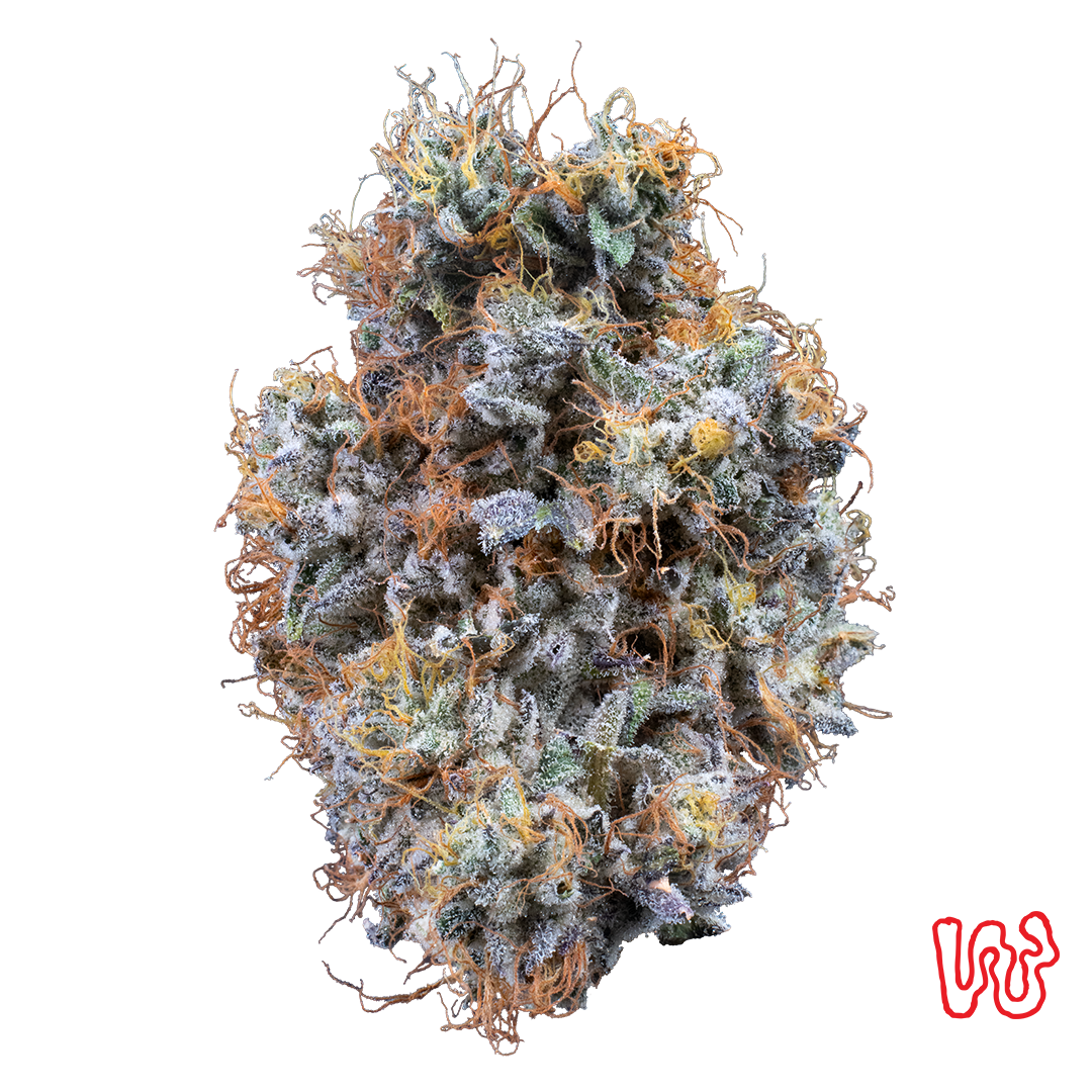 WOODWARD FINE CANNABIS - KOALA MINTS - [5.66G] - HYBRID