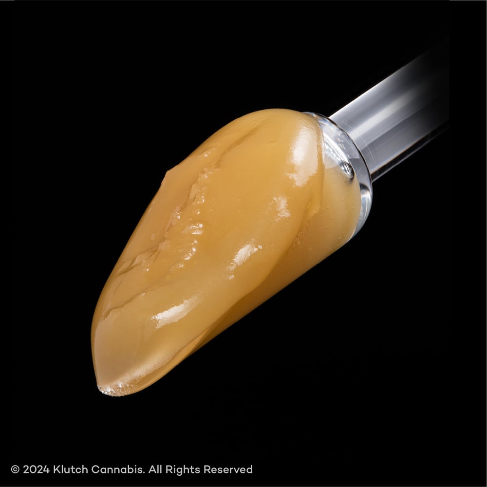 KLUTCH  PERMANENT MARKER  LIVE BADDER  INDICA