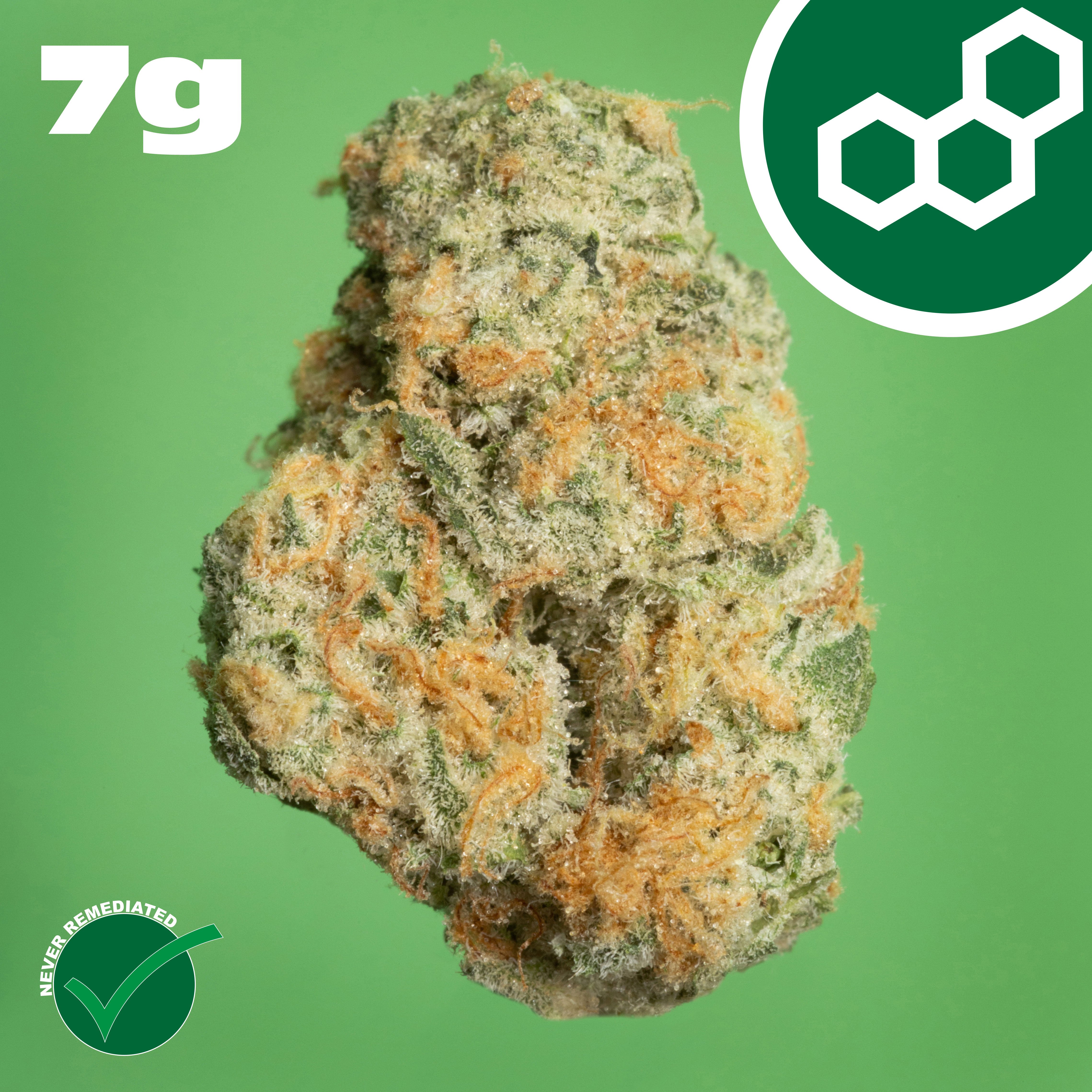 Theraplant - Black Cherry GMO (H) Flower C0040001373 Theraplant - Black Cherry GMO (H) Flower C0040001373