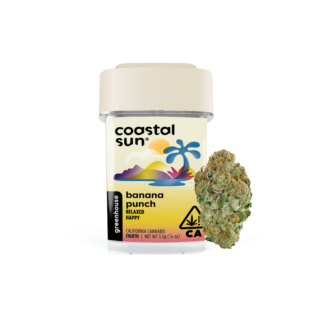 Banana Punch Coastal Sun Greenhouse Jane