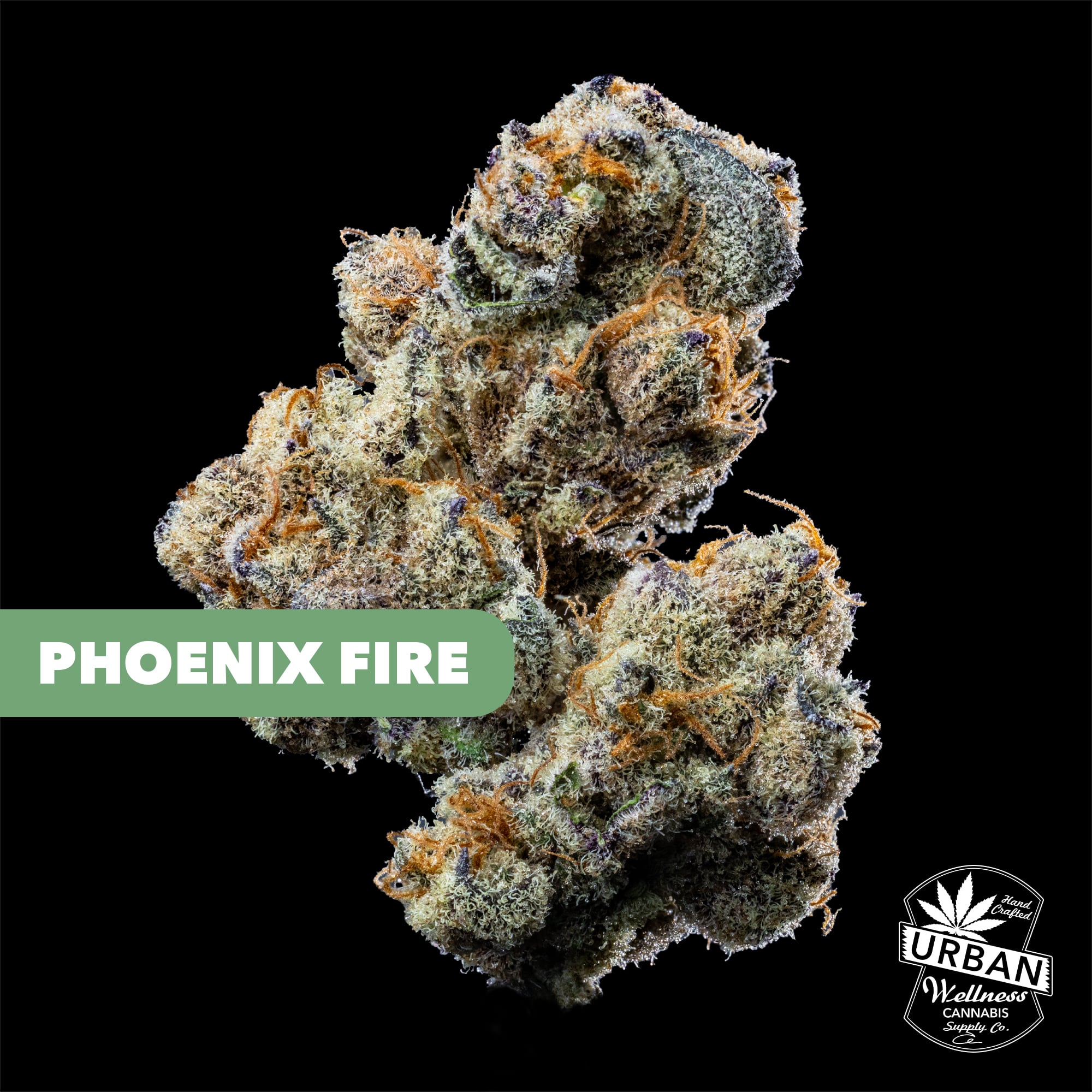 Phoenix Fire