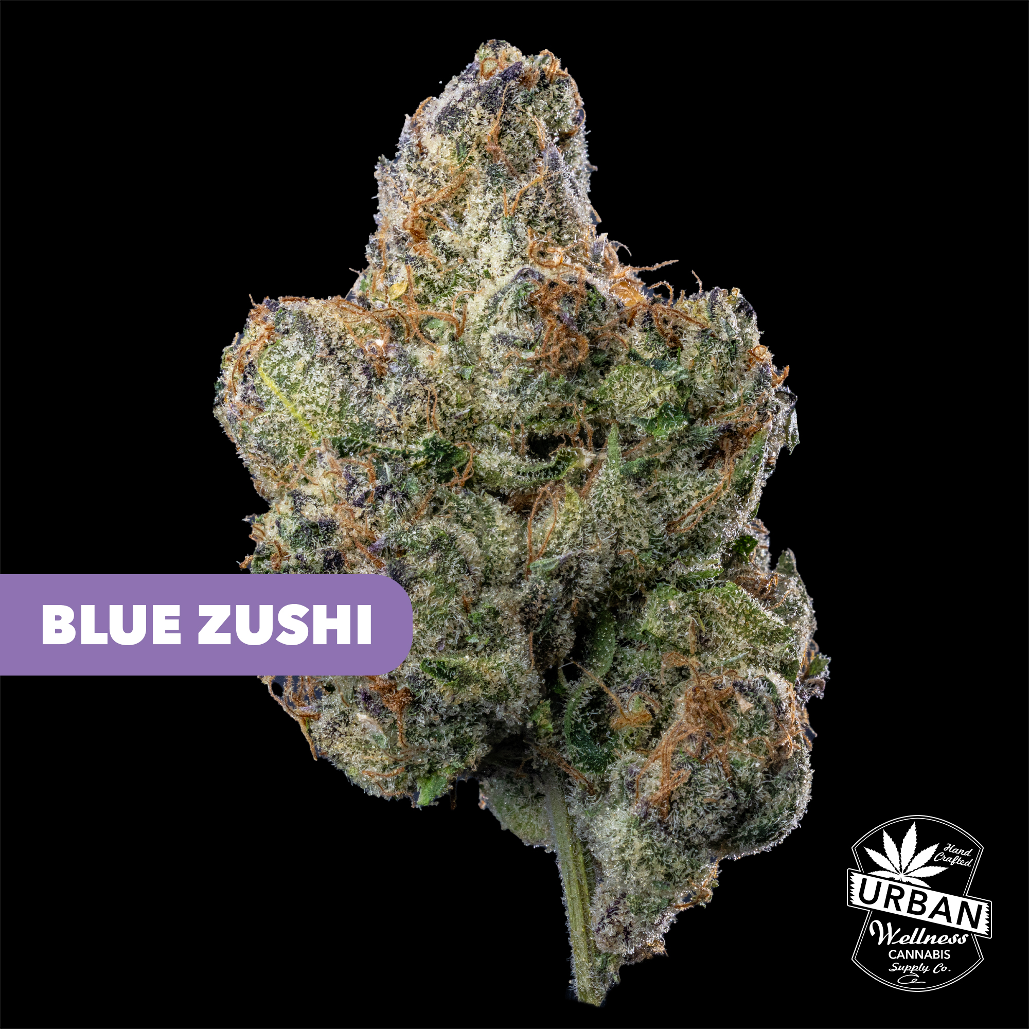 08288871-708a-442e-abf3-