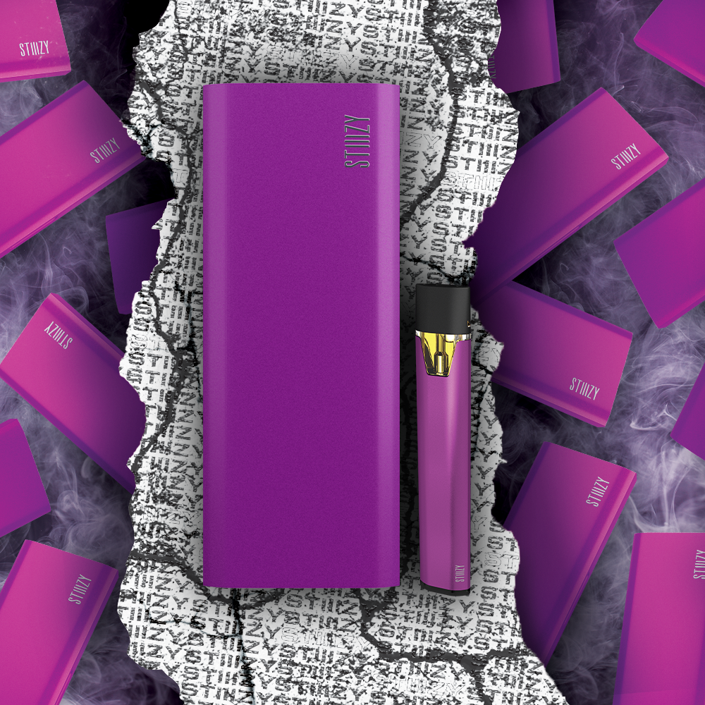 PORTABLE POWER CASE - PURPLE