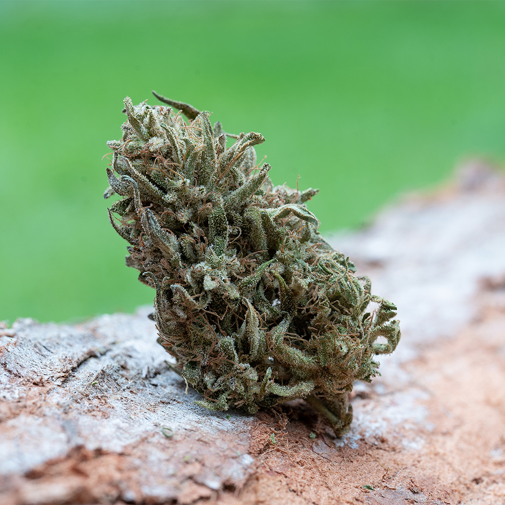 Four Directions by Emerald Spirit Botanicals [7.5g]