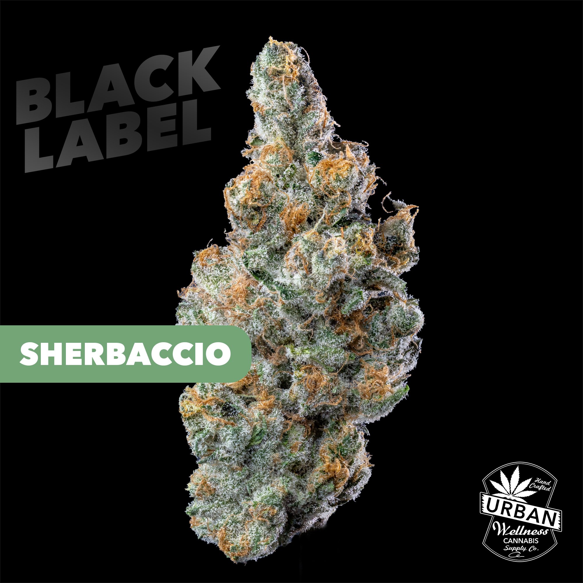 Black Label - Sherbaccio [28g]