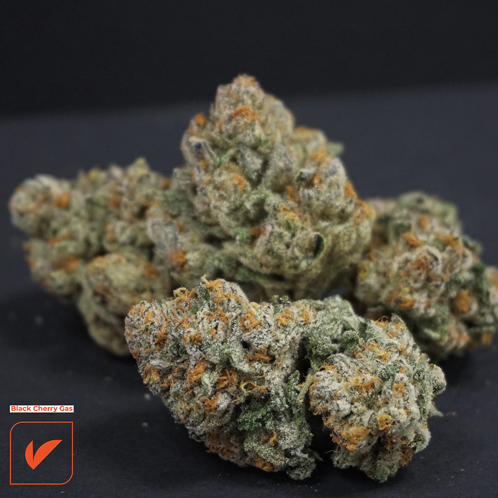 Black Cherry Gas Vertical Cannabis Jane