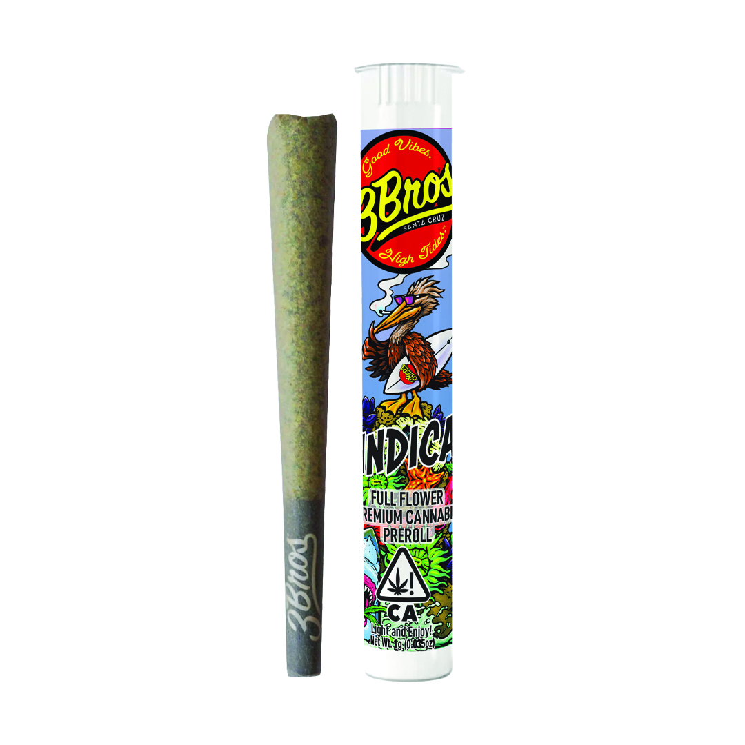 Glitter Bomb [1g]