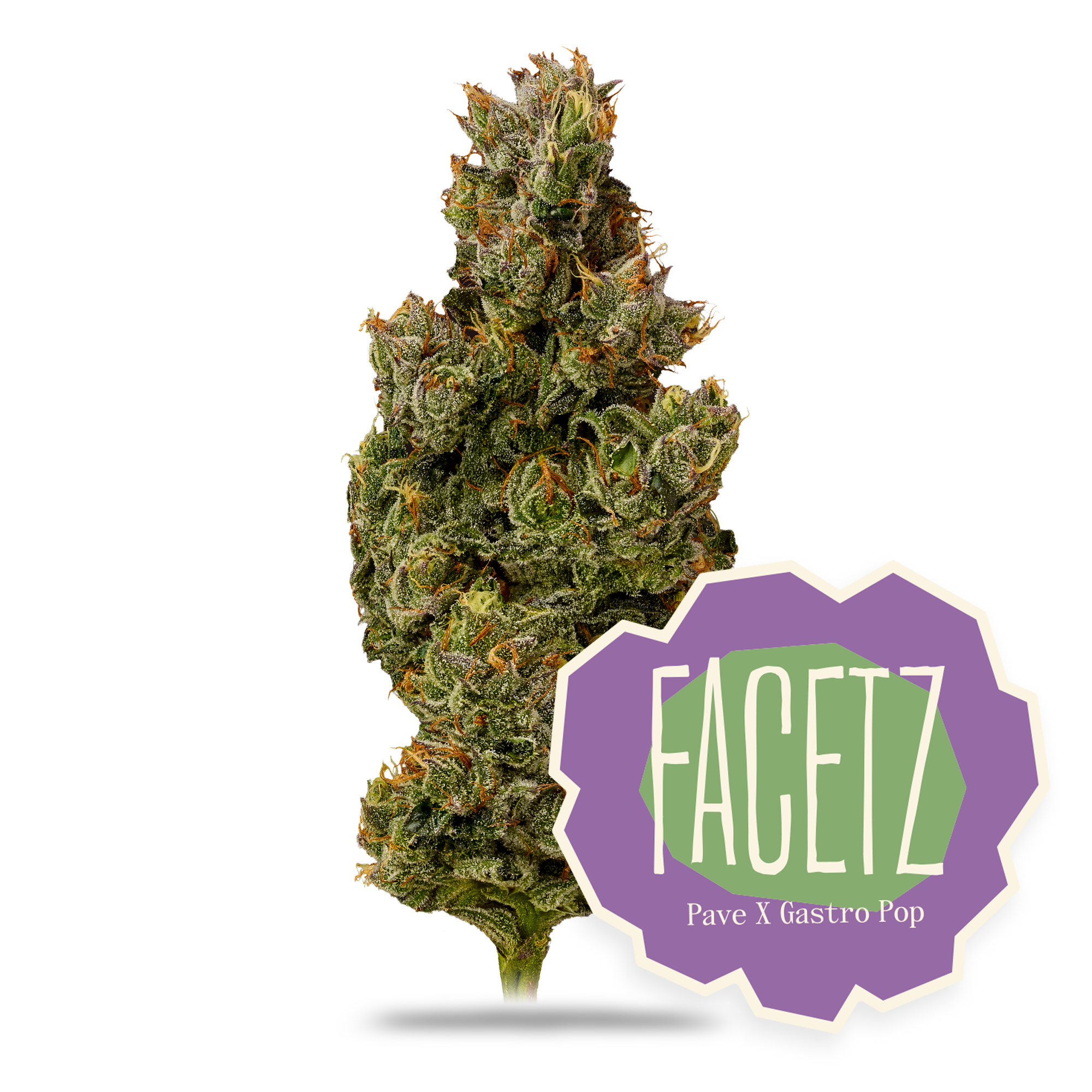 Facetz