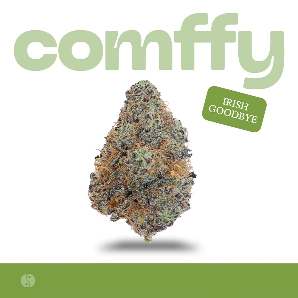 comffy - Irish Goodbye (H) Flower  C0140000219