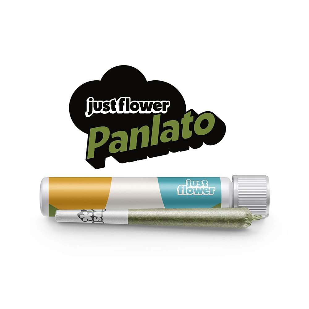 PanLato [.5g]