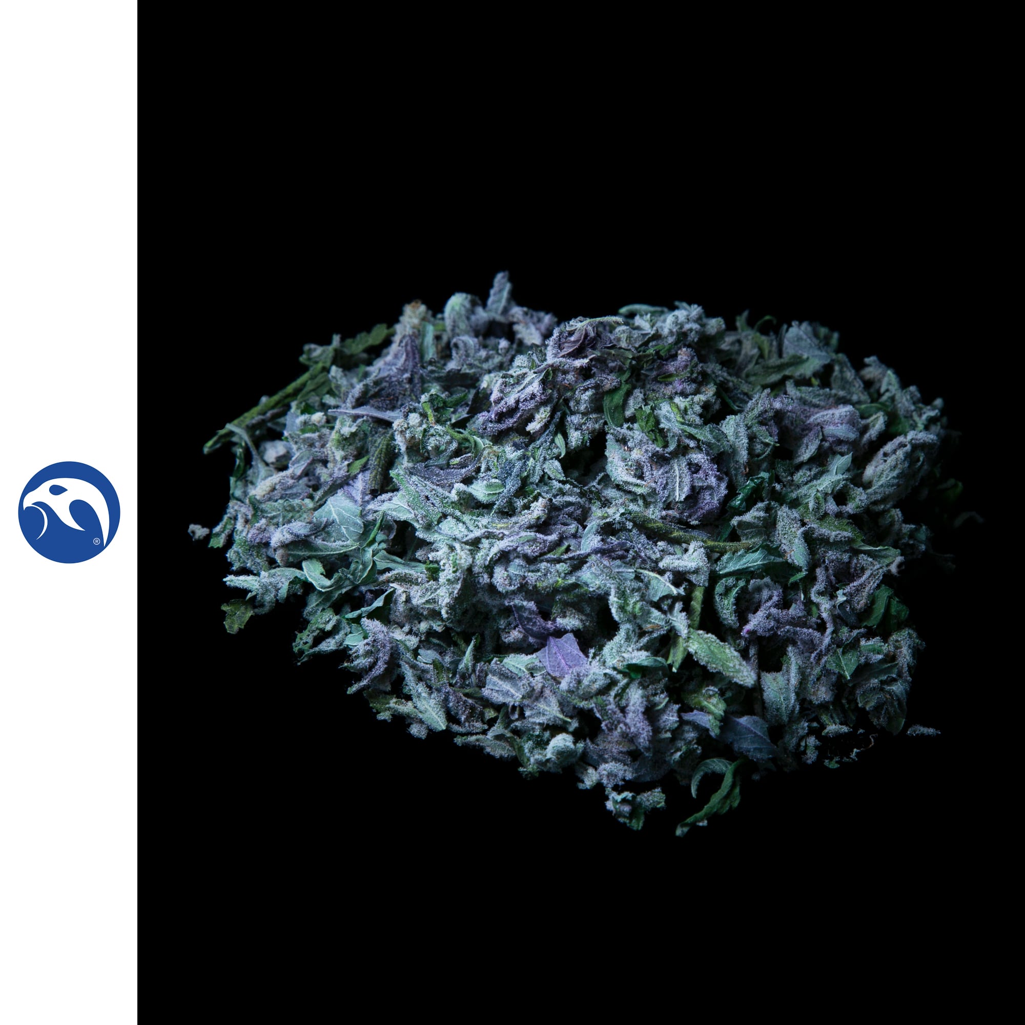 Blueberry Tide Sugar Trim