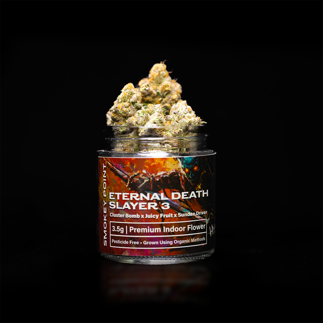 Eternal Death Slayer 3