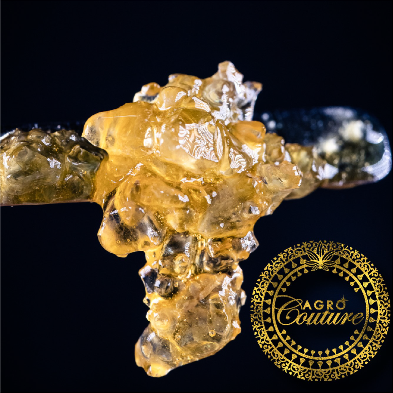 Shop Krypto Candy | Jane